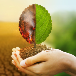 Pablo Said mostra como as variações climáticas influenciam o futuro do planeta.