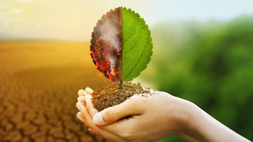 Pablo Said mostra como as variações climáticas influenciam o futuro do planeta.