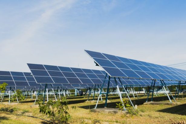 Teciomar Ábila questiona quando a energia solar vai impulsionar de vez a revolução sustentável nas estradas brasileiras.